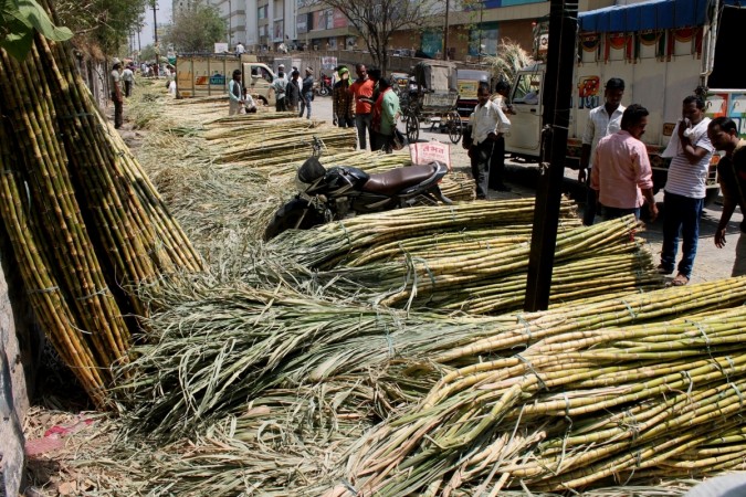 sugarcane, sugar output, sugar production in india, isma, isma estimates, sugar stocks