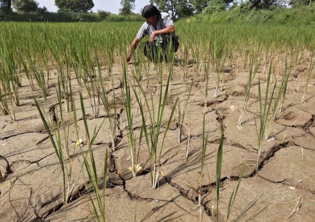 indian farmer, farm loan waiver, up govt waives farm loans, bjp kisan morcha, congress govt, bank loans, rbi governor urjit patel
