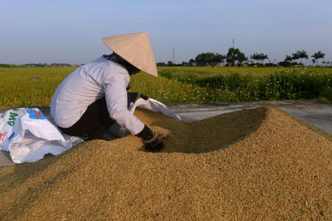 After Asparagus and flaxseeds, rice bran might just be the newest superfood Rice bran
