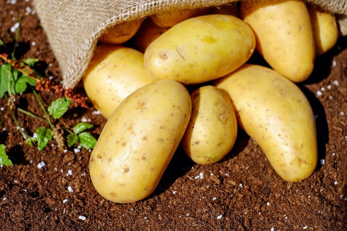 Representative Image China, moon, potatoes,lunar surface, space,