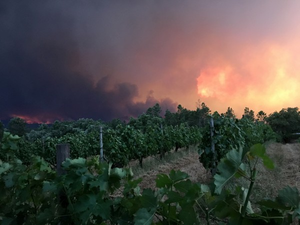 Smoke rises from a forest fire, seen from the village of Mourisco in central Portugal, June 17, 2017. Portugal Fires