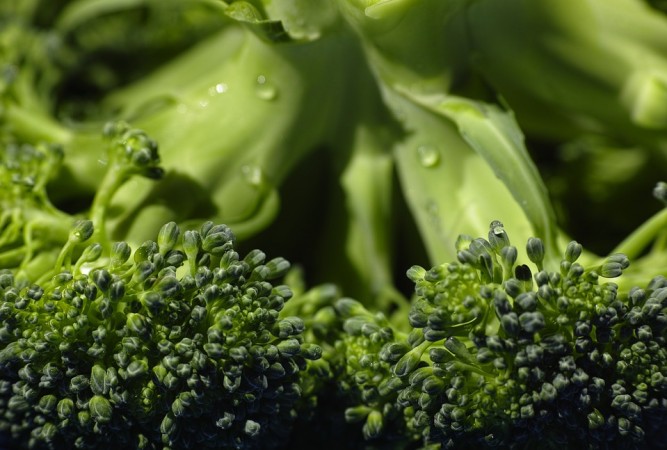 Broccoli, cruciferous, vegetables, diabetes, type 2, health,