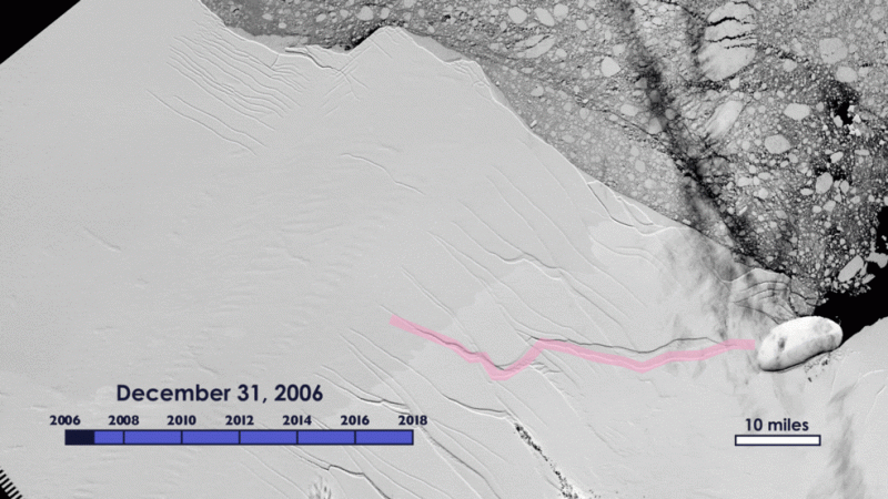 Animation of the growth of the crack in the Larsen C ice shelf, from 2006 to 2017, as recorded by NASA/USGS Landsat satellites. nasa, Antarctica, iceberg, climate change, global warming,