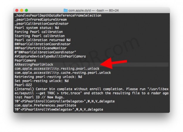 Apple HomePod firmware code. HomePod code