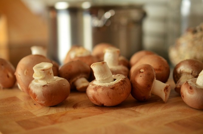 mushroom, health,