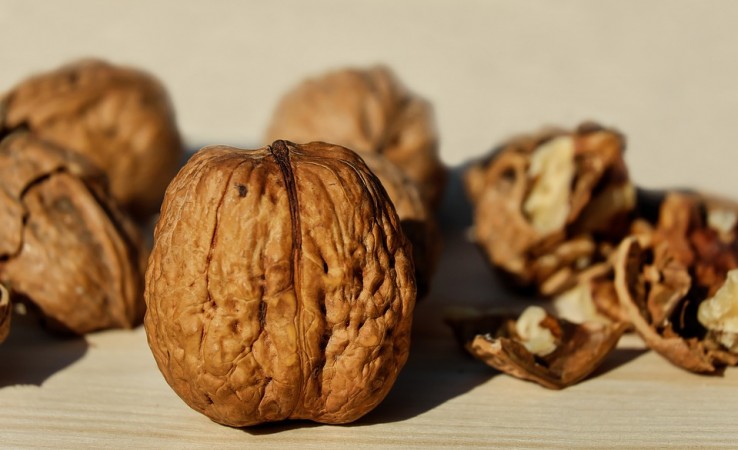 walnut, superfood,