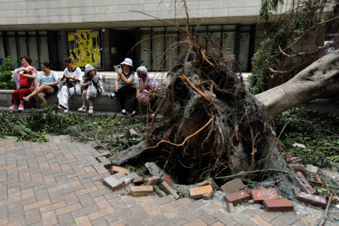 Chinese tourists sit next to a tree that was uprooted by strong winds from Typhoon Hato outside a jewelry shop in Macau, China August 24, 2017. Typhoon Hato