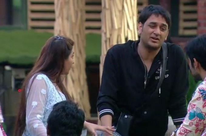 Bigg Boss 11 contestant Vikas Gupta Bigg Boss 11, Vikas Gupta