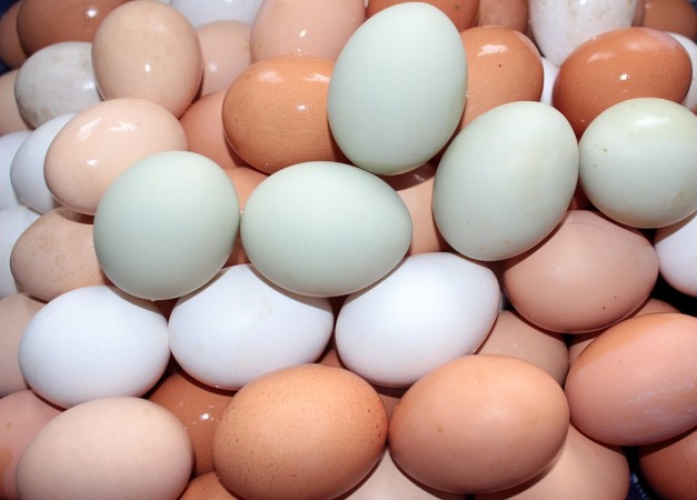 White and brown eggs Eggs