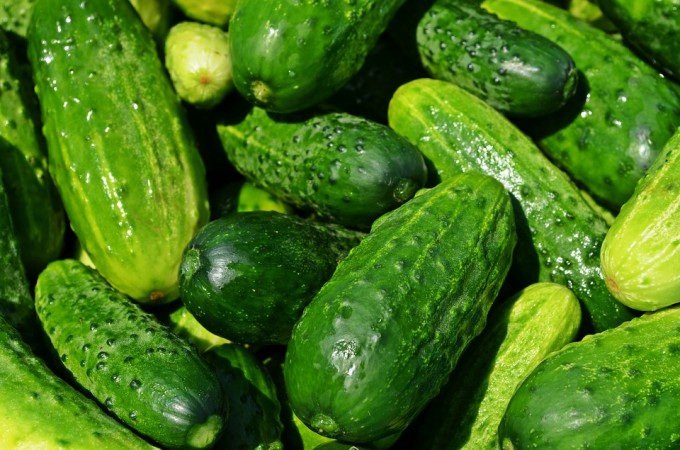 Picture for representation cucumber
