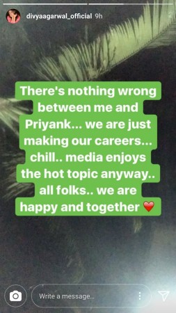 Bigg Boss 11 contestant Priyank Sharma and Divya Agarwal BREAKUP