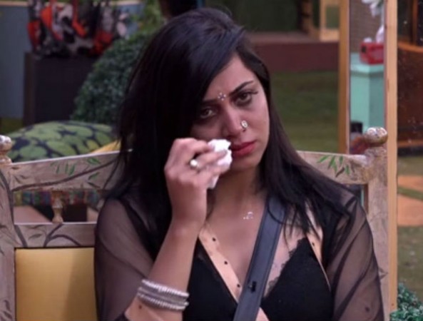 Arshi Khan in Bigg Boss 11 Arshi Khan in Bigg Boss 11