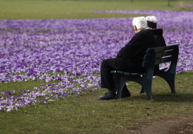 An elderly couple sit on a bench next crocus flowers in a park in Duesseldorf Retirement