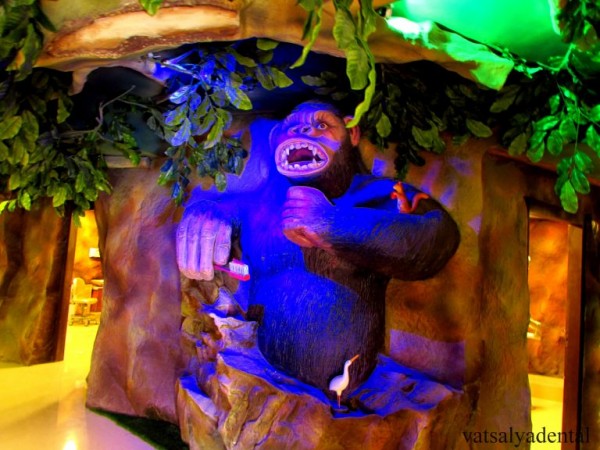 Dento Jungle Dento Jungle