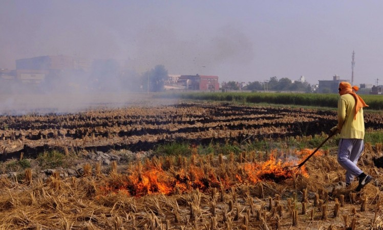 Amritsar: Stubble being burnt in a field on the outskirts of Amritsar on Oct 13, 2017. stubble burning