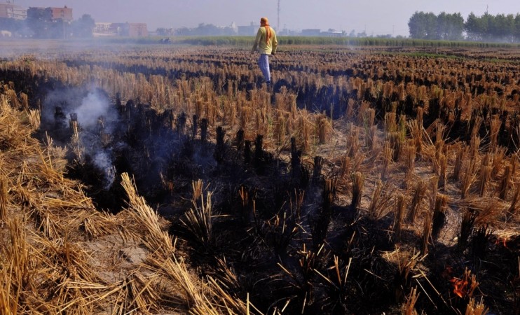 Stubble being burnt in a field on the outskirts of Amritsar on Oct 13, 2017 stubble burning 1111