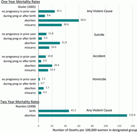 Figure 1 pregnancy, abortion, death,