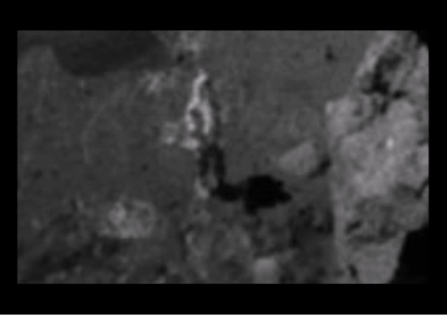 nasa, Apollo 17, hoax, conspiracy theorist,
