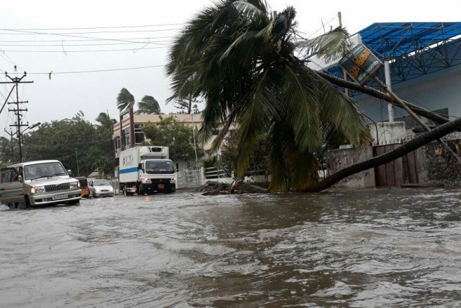 Trees uprooted, electric poles fallen on the streets of Tamil Nadu due to Cyclone Ockhi cyclone ockhi kerala