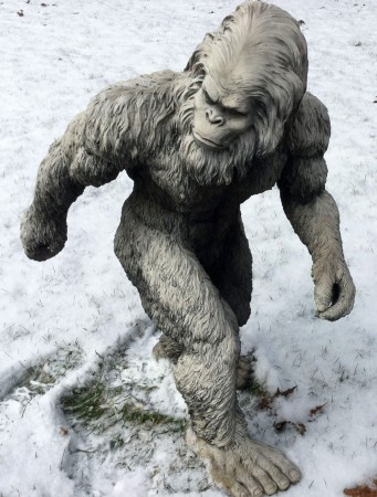 Representational image. yeti 1
