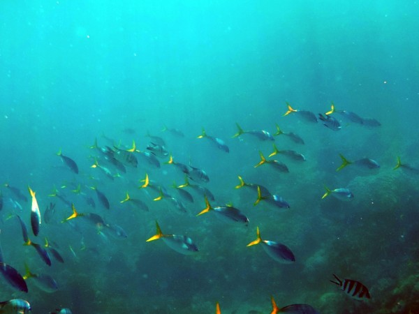 Representational image. cancun 3
