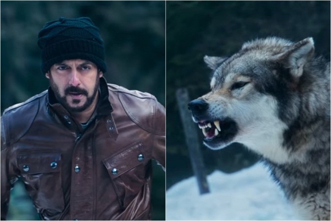 Salman Khan in Tiger Zinda Hai Salman Khan in Tiger Zinda Hai