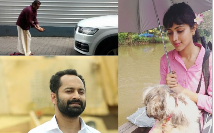 Amala Paul, Suresh Gopi, Fahadh Faasil land in trouble over Puducherry car registration row. PY car registration row, Amala Paul, Suresh Gopi, Fahadh Faasil