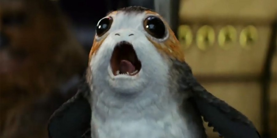 In picture: A species called porgs, introduced in Star Wars Episode VIII: The Last Jedi. Star Wars Episode VIII: The Last Jedi