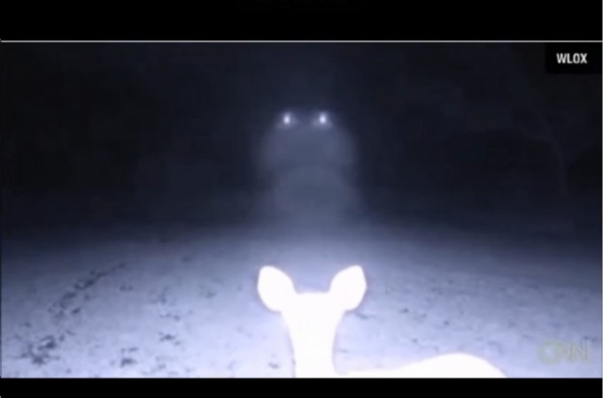 ufo sighting,