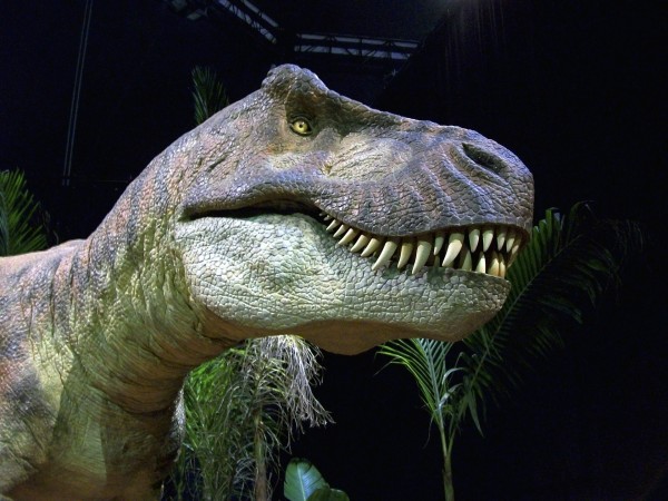 Representational image. dinosaur
