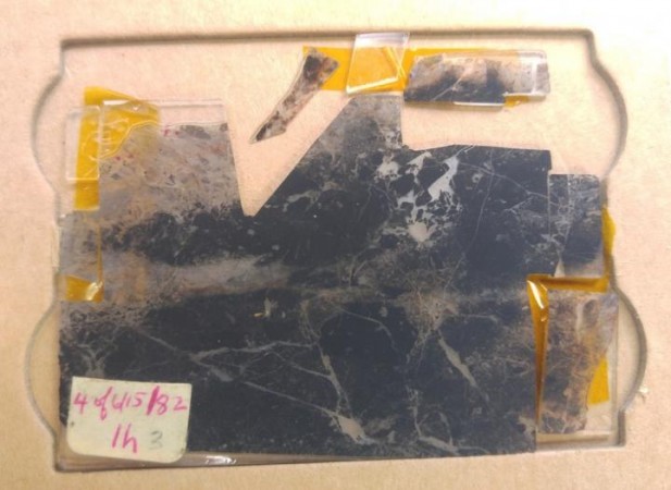 This sample of rock was taken from the Apex Chert, a rock formation in western Australia that is among the oldest and best-preserved rock deposits in the world, in 1982 and was soon found to contain evidence of early life on Earth. Anceint rock with fossils