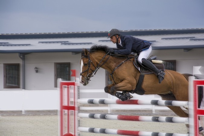 DNA editing can help scientists create super-horses by 2019. super-horses