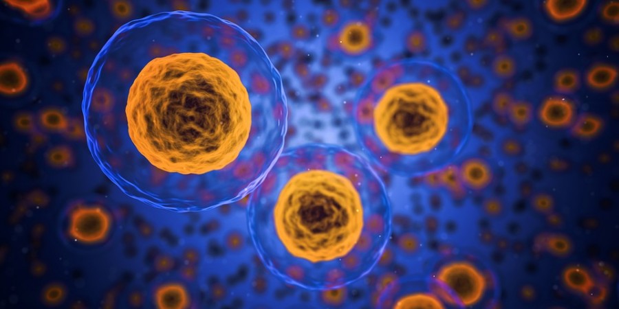 Representational Image cells