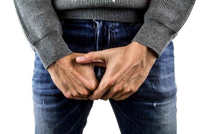 penis,