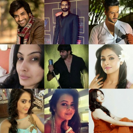 TV celebs on Bigg Boss 11 TV celebs on Bigg Boss 11