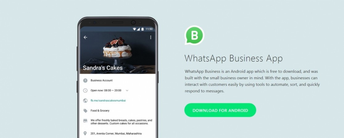 whatsapp business app download for mac