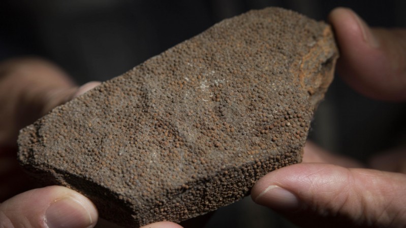 Rogenstein oolite from Germany. oolite