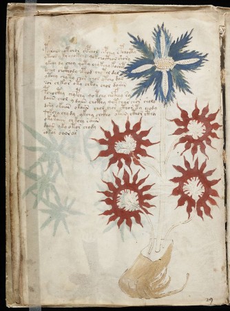 A page from the mysterious Voynich manuscript. Voynich manuscript, mystery,