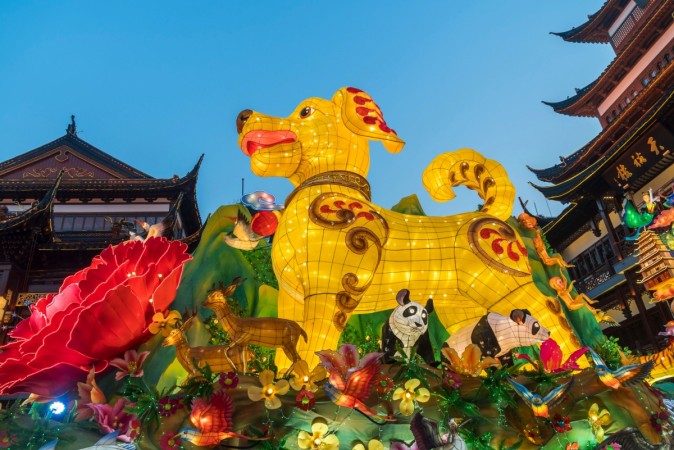 A 9-metre (29.5-foot) high dog lantern displayed at the Yu Garden in Shanghai, ahead of the coming Lunar New year, marking the Year of the Dog. Chinese New Year 2018