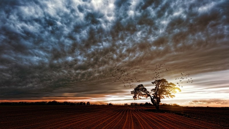 Earth, atmosphere,