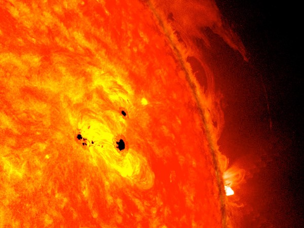 Sunspots appear on the solar surface. Sunspots