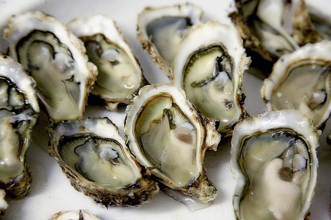 Representational image. oysters