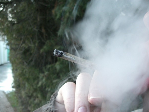 weed