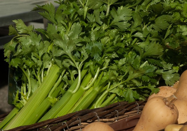Celery