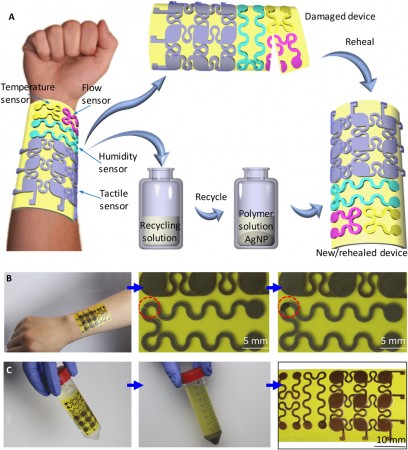 (A) Schematic illustration of rehealability and full recyclability of the e-skin. (B) The malleable e-skin can be conformally mounted onto a human arm (left). When mechanically cut broken (middle), the e-skin can be rehealed by applying a small amount of rehealing agent and heat pressing (right). (C) The e-skin can be fully recycled using the recycling solution (left), yielding the solution with dissolved oligomers/monomers and AgNPs at the bottom (middle). The solution and AgNPs can be reused to make a new e-skin (right). Rehealable, fully recyclable, and malleable e-skin