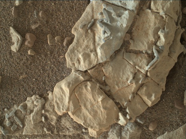 The stick-shaped features on this Martian rock are about the size of grains of rice. This view from the MAHLI camera on NASA's Curiosity Mars rover covers an area about 2 inches across, on a target called crystal-shaped features on Mars