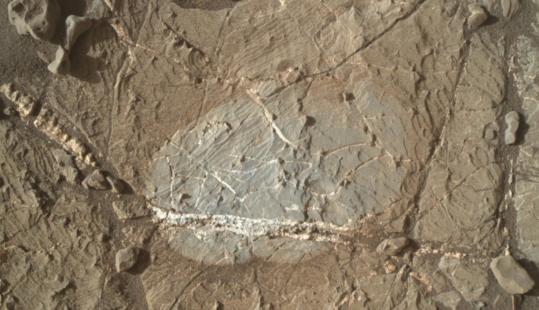 A mineral vein with bright and dark portions distinguishes this Martian rock target, called crystal-shaped features on Mars