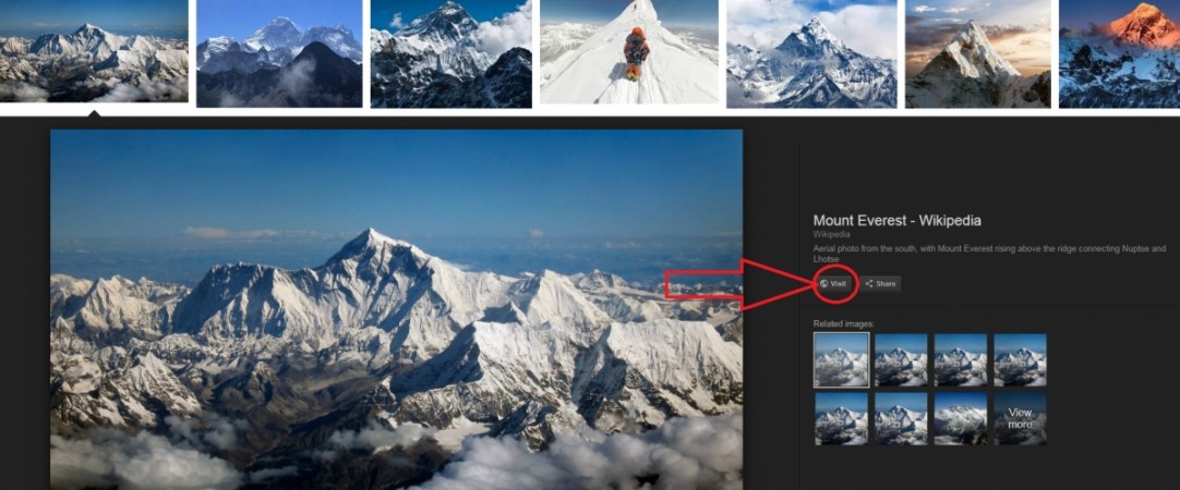 Google image search page Google image search page