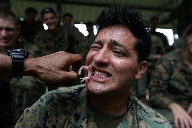 A U.S. Marine eats a geko during a jungle survival exercise as part of the US marines