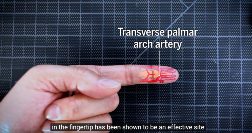 Researchers have claimed that the fingertip, which houses transverse palmar arch artery too can help getting blood volume data with near-accurate systolic and diastolic readings needed to calculate the BP Blood pressure, sensor,smartphone, palmar arch artery on finger